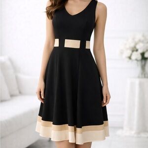 Calvin Klein dress. Black, white, tan size 4P